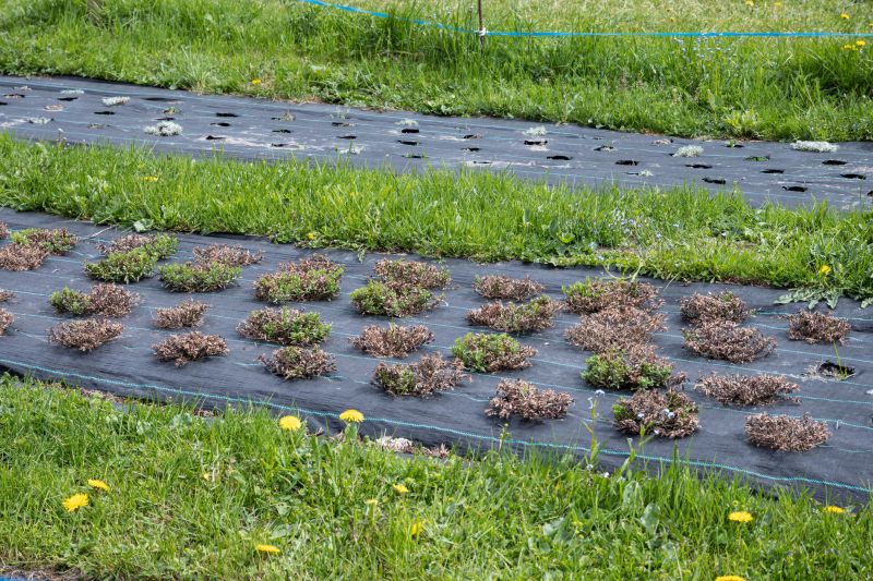 Garden Fabric Installation