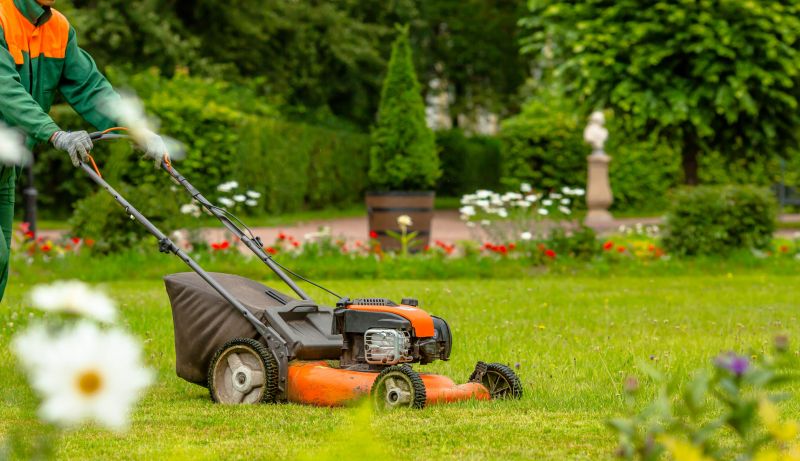 Lawn Repair Service