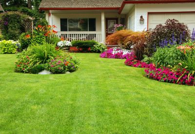 Residential Landscape Service
