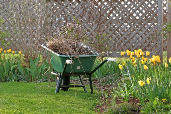 Flower Bed Cleanup Service in Georgetown