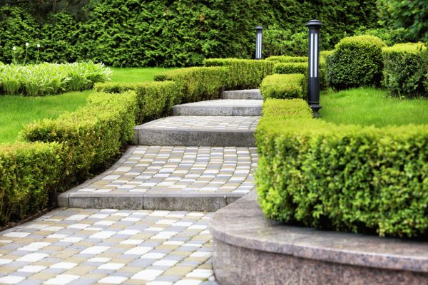 Backyard Remodeling in Georgetown
