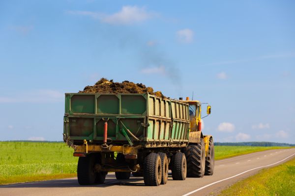 Bulk Soil Delivery in Georgetown