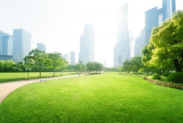 Commercial Landscape Maintenance in Georgetown