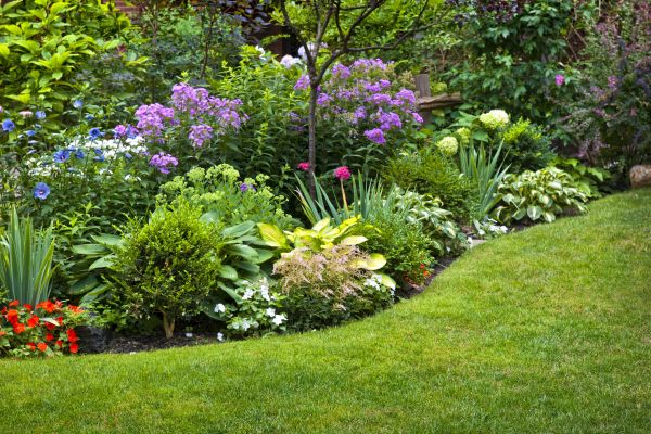 Flower Bed Service in Georgetown