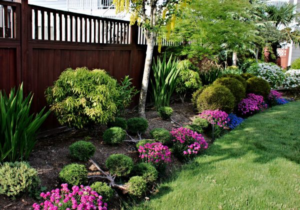 Garden Care Service in Georgetown