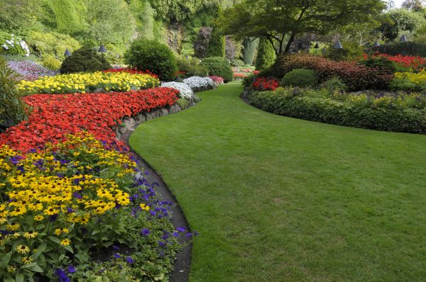 Landscaping Maintenance in Georgetown