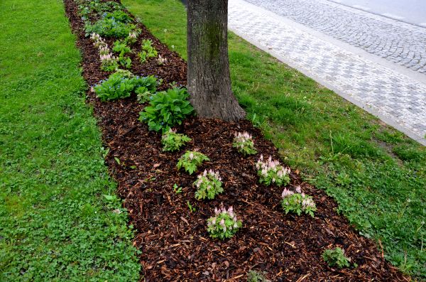Mulch Replacement Service in Georgetown