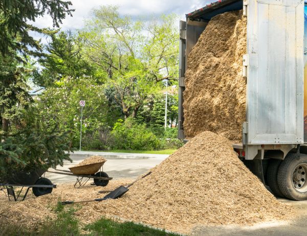 Wood Chips Delivery in Georgetown