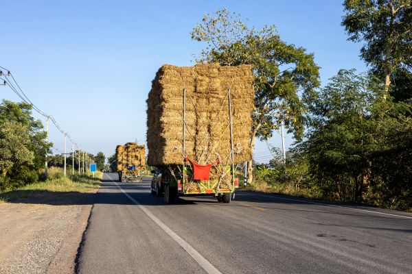 Pine Straw Delivery in Georgetown
