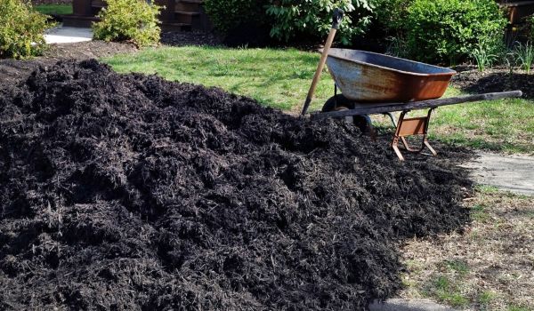 Black Mulch Delivery in Georgetown