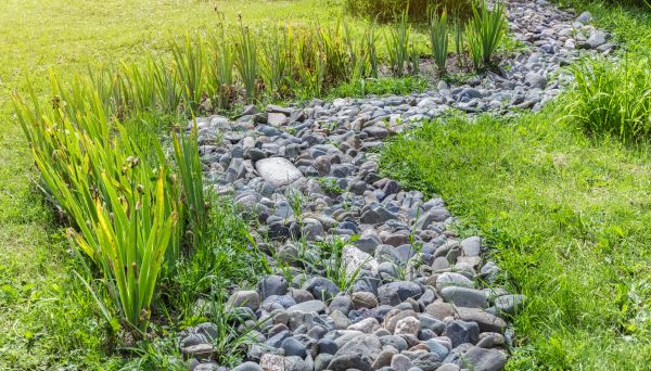 River Rock Garden Installation in Georgetown