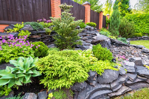 Landscape Remodeling in Georgetown