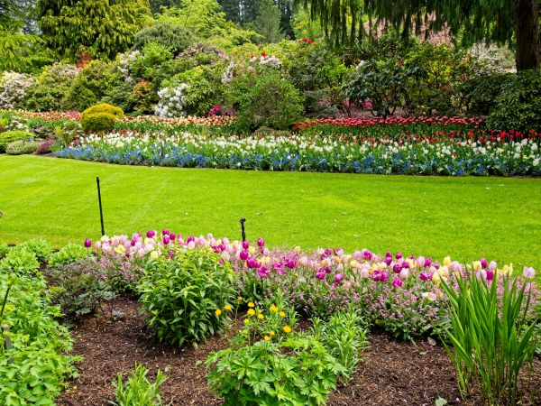 Residential Landscape Design in Georgetown