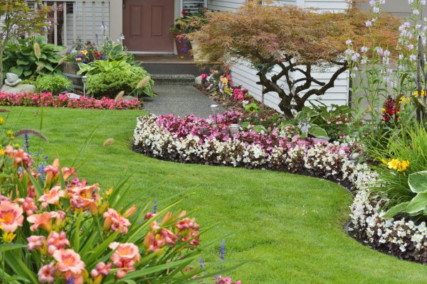 Perennial Landscaping in Georgetown