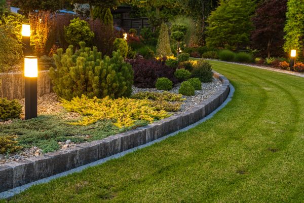 Garden Repair Service in Georgetown