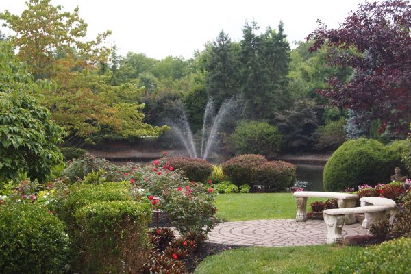 Courtyard Design Service in Georgetown