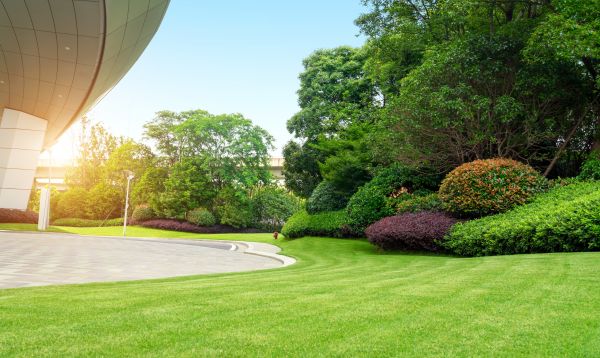 Business Landscape Design in Georgetown
