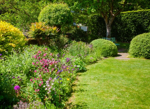 Yard Landscaping Service in Georgetown