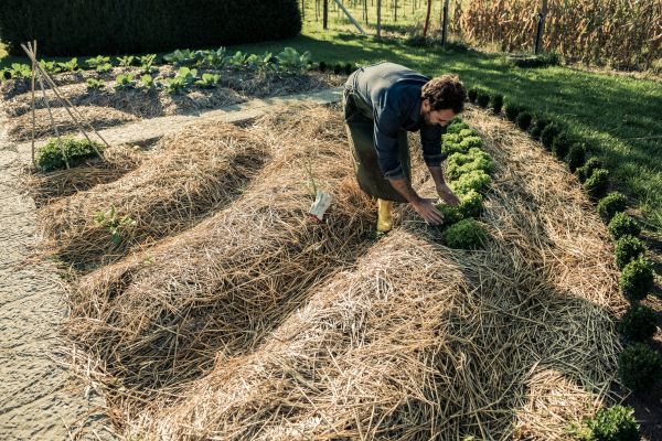 Straw Mulching Service in Georgetown