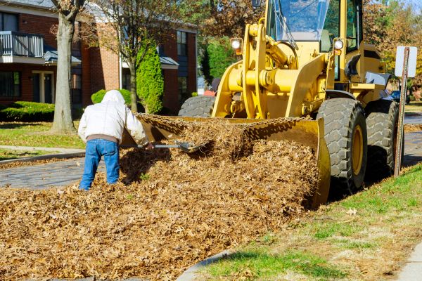 Mulch Hauling in Georgetown