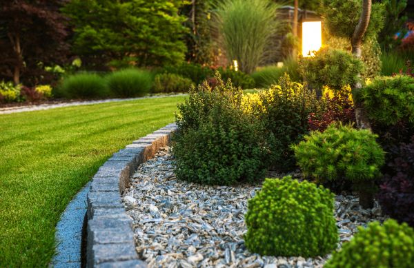 Landscaping Service in Georgetown