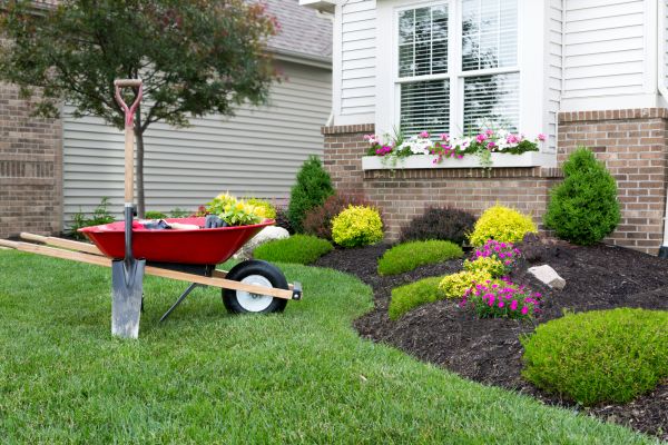 Tree And Shrub Planting in Georgetown