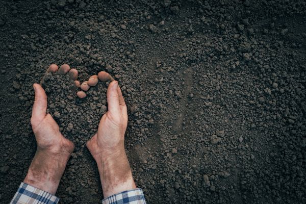 Soil Installation in Georgetown
