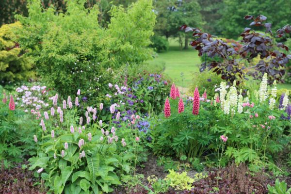Flower Bed Planting in Georgetown