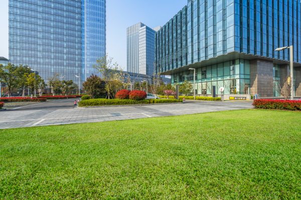 Industrial Landscaping Service in Georgetown