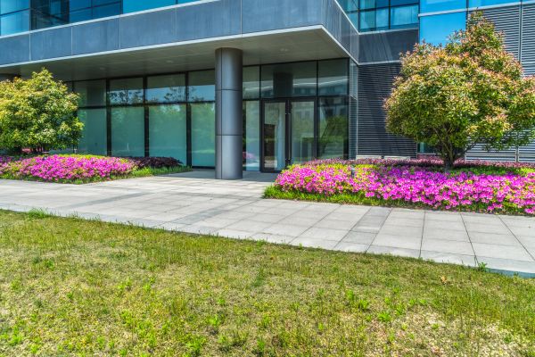 Commercial Gardening in Georgetown