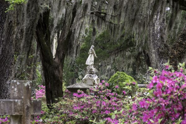 Cemetery Landscaping in Georgetown