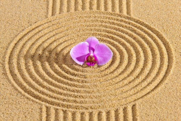 Sand Garden Landscaping in Georgetown