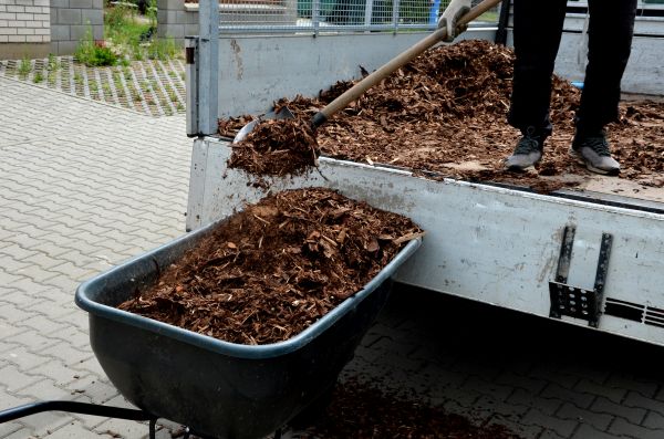 Cypress Mulch Delivery in Georgetown
