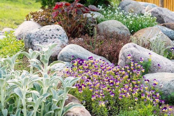 Rock Garden Installation in Georgetown