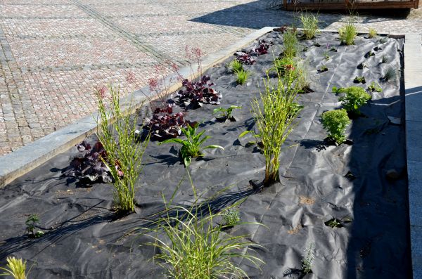 Landscape Fabric Installation in Georgetown