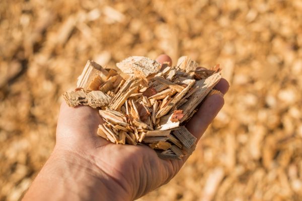 Wood Chips Spreading in Georgetown