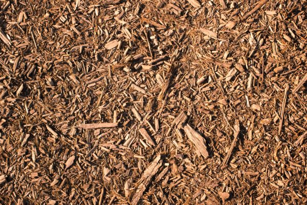 Wood Chips Removal in Georgetown