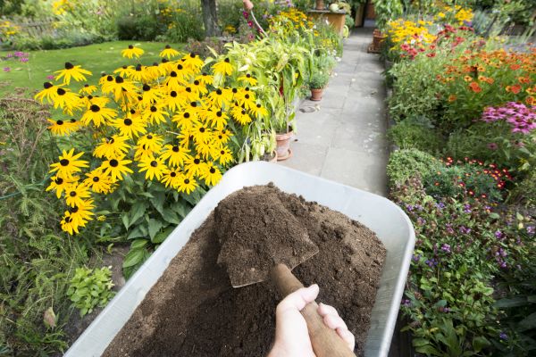 Topsoil Replacement in Georgetown
