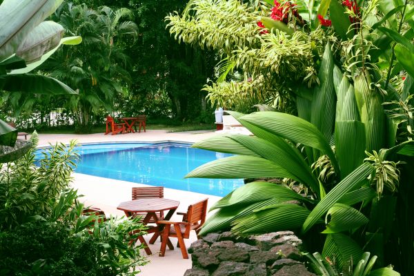 Pool Area Landscaping in Georgetown