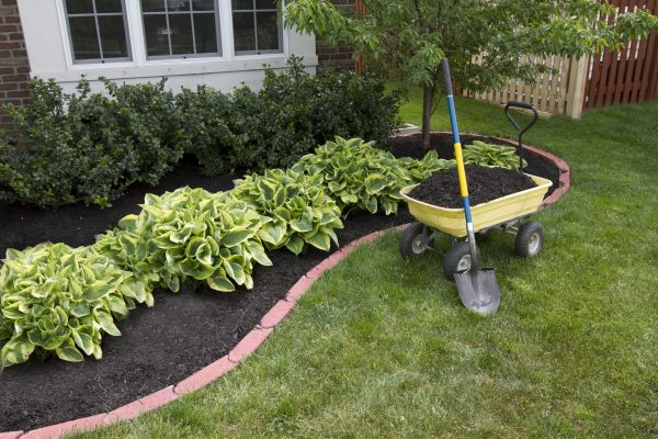 Landscape Mulching in Georgetown