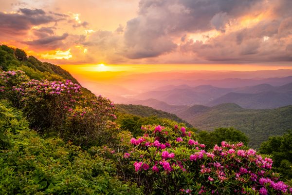 Hill Landscaping in Georgetown