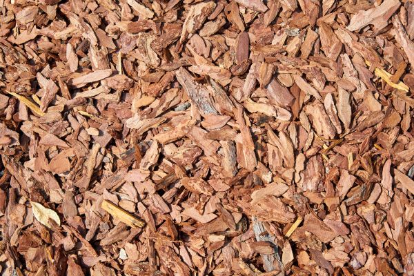 Pine Mulch Spreading in Georgetown