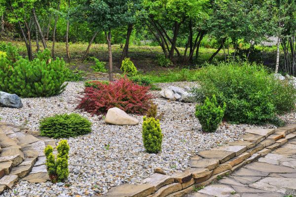 Hardscape Landscaping in Georgetown