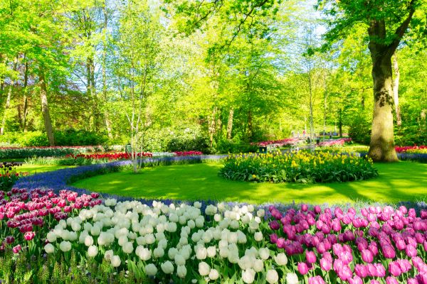 Flower Landscaping in Georgetown