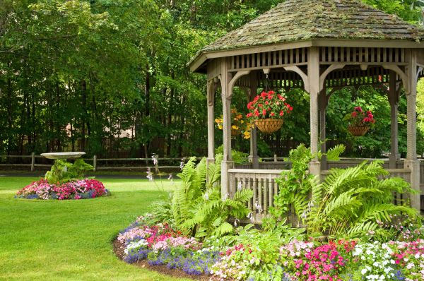 Backyard Landscaping Service in Georgetown