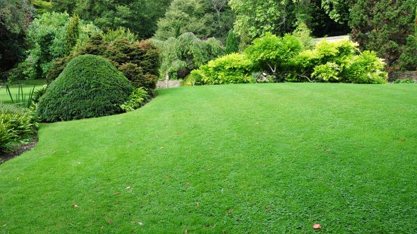 Commercial Landscape Design in Georgetown