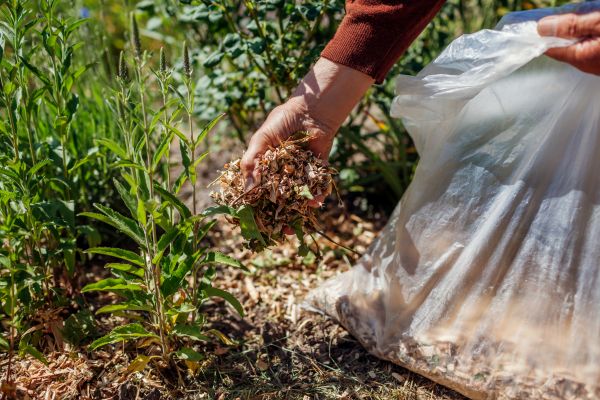 Wood Mulch Installation in Georgetown