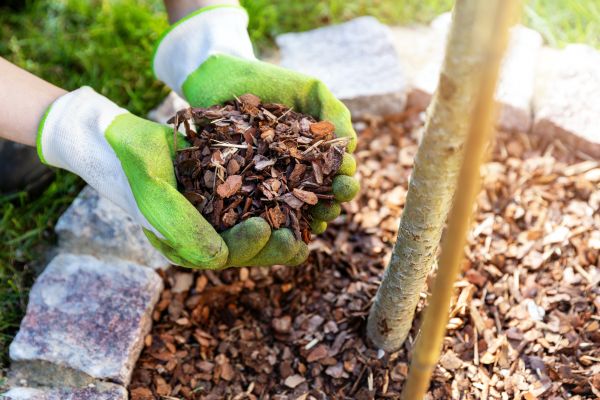 Tree Bark Delivery in Georgetown
