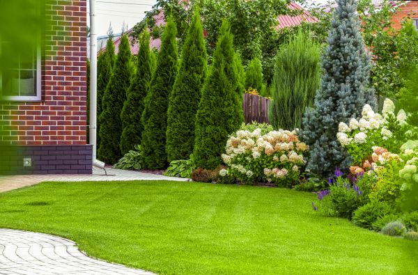 Spring Landscaping in Georgetown