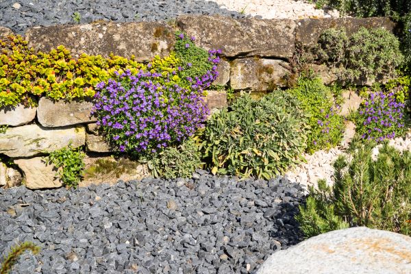 Landscaping Rocks Installation in Georgetown